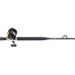 SHIMANO 5'9" TLD25 Reel/Star Rod Stand-Up Conventional Combo